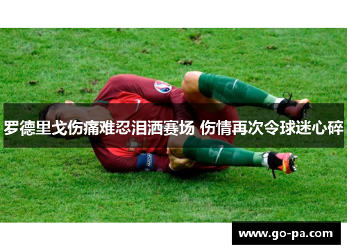 罗德里戈伤痛难忍泪洒赛场 伤情再次令球迷心碎