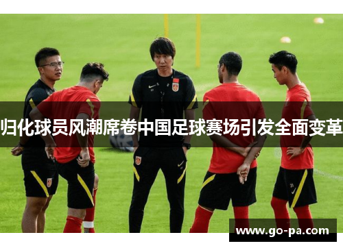 归化球员风潮席卷中国足球赛场引发全面变革